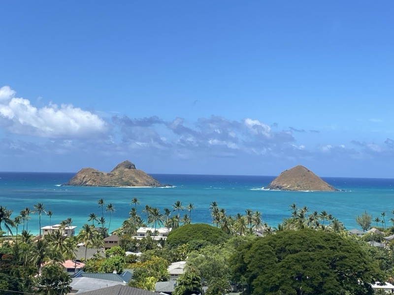 Ocean view from Hawaii (2023)
